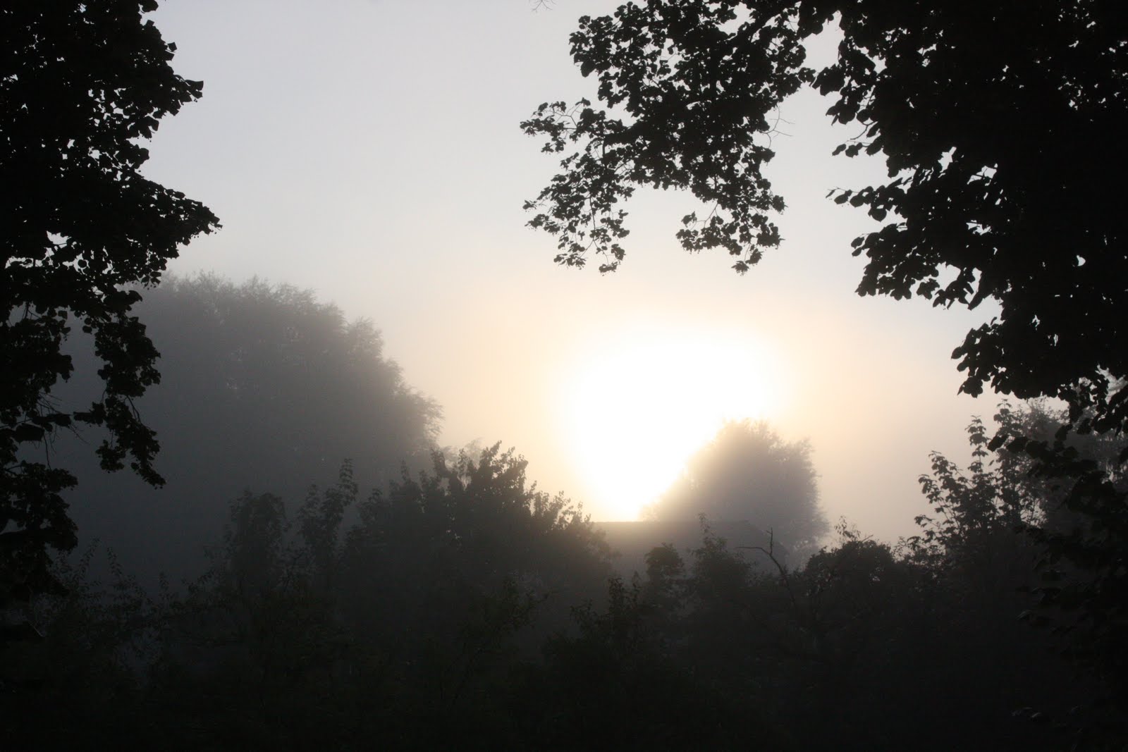 das doppelte Lottchen: Sweet Disposition