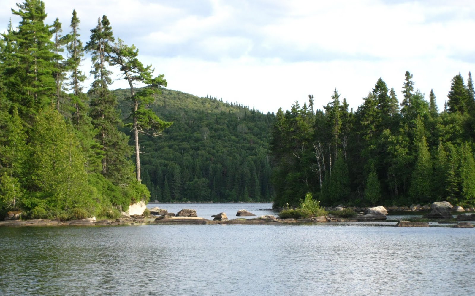 the casey fragments August 7 reserve faunique rougematawin