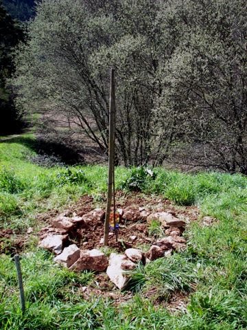 [ColmLimpPMar10+177.jpg]