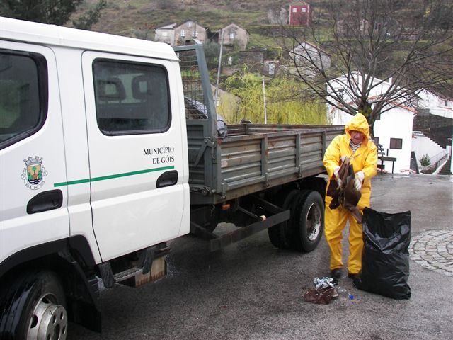 [ColmLimpPMar10+047.jpg]