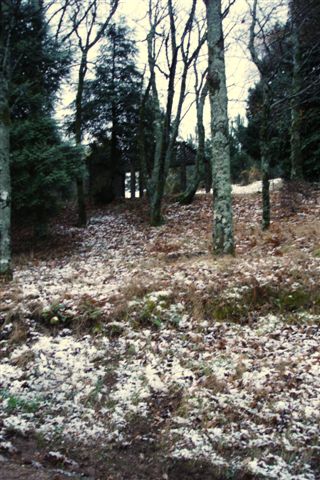 [Inverno+2008+(11).JPG]