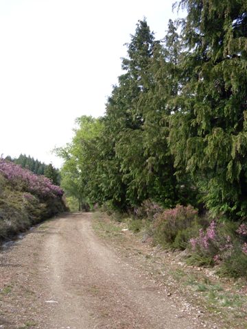 [Caminhada+UPFC+009.jpg]