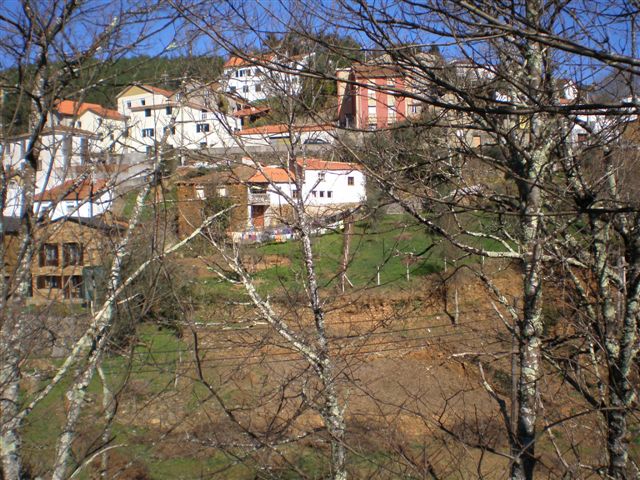 [Col+SobreirosII.jpg]