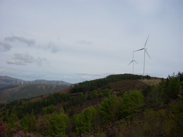 [Caminhada+UPFC+007.jpg]