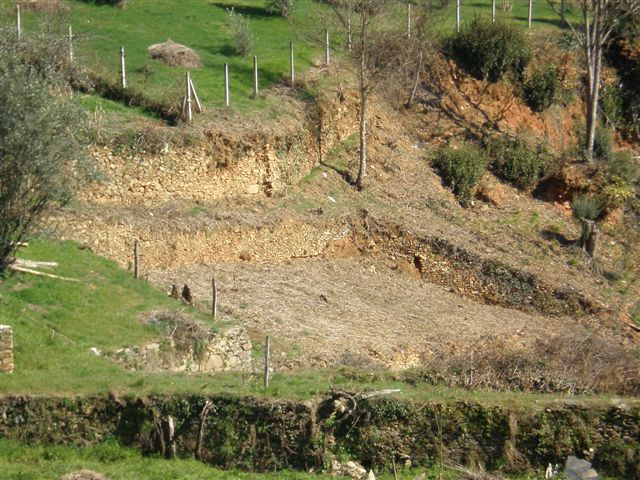 [Chão+de+Baixo.jpg]