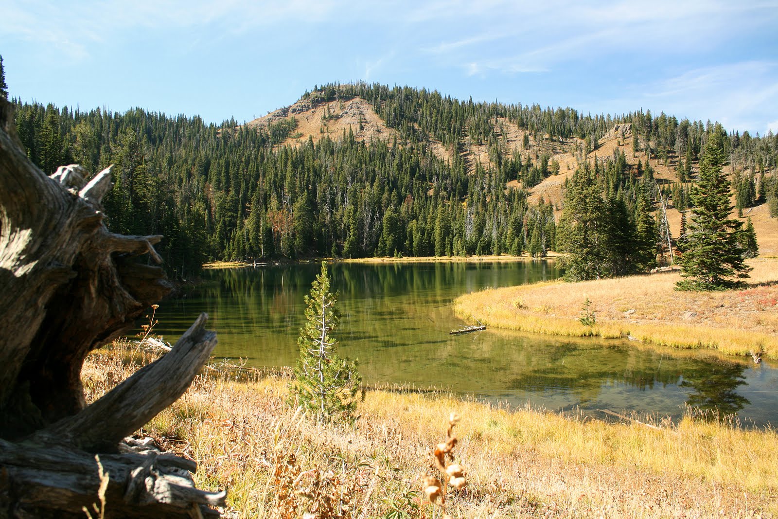 Elk Lake News Life at a Montana Mountain Lodge