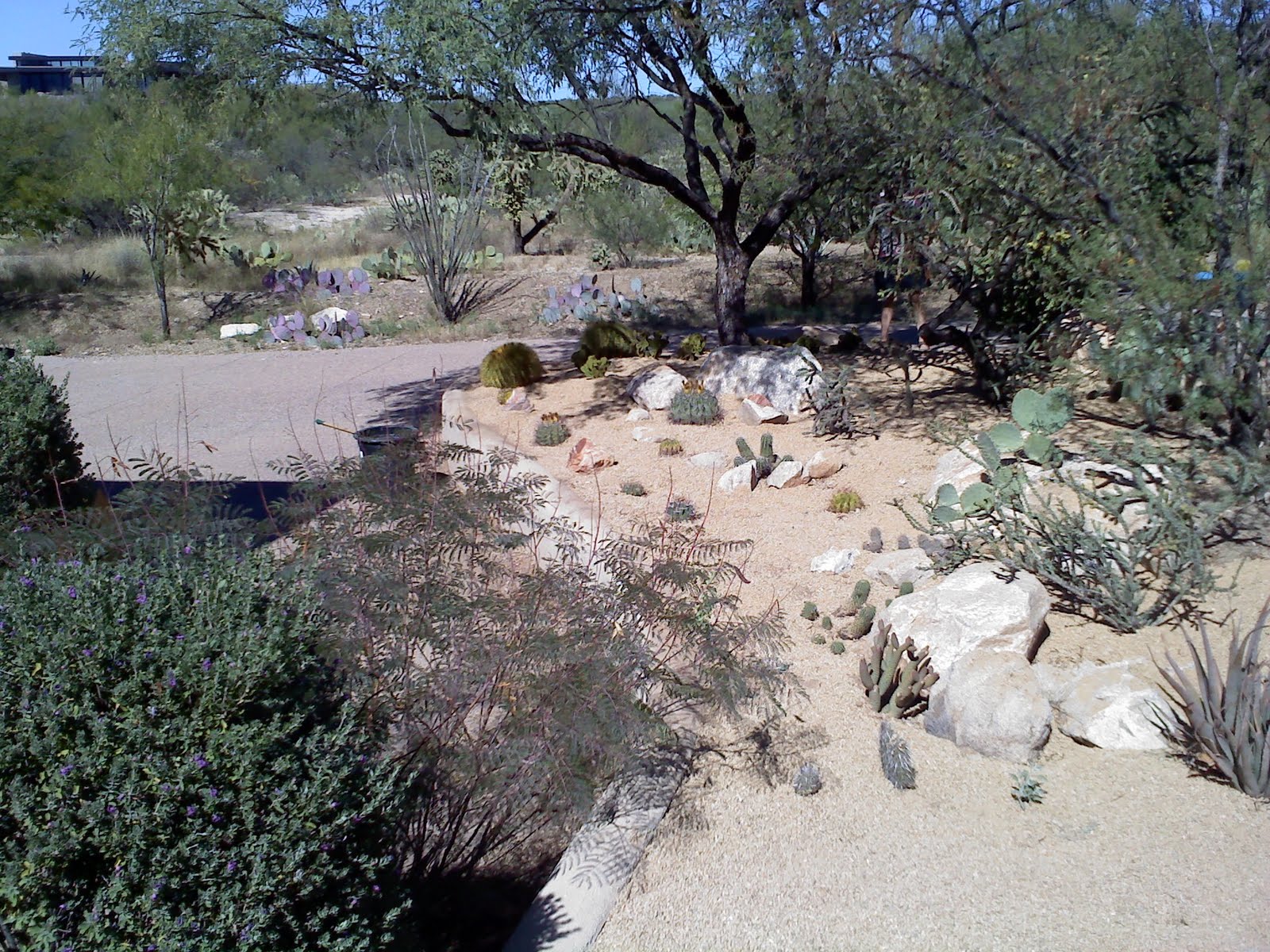 Tucson Quality Landscaping Tucson Quality Gravel Spreading Landscaping