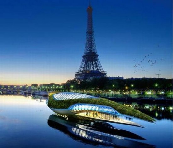 [physalia5-550x473.jpg]