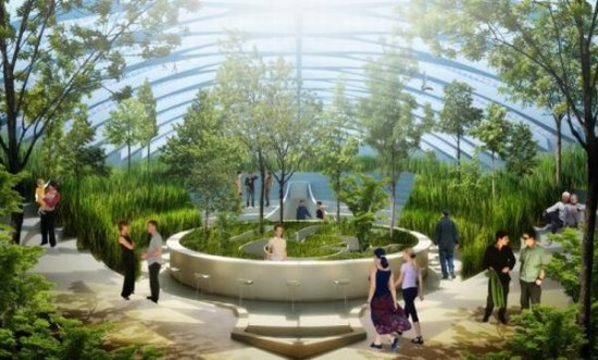 [physalia3-550x331-1.jpg]