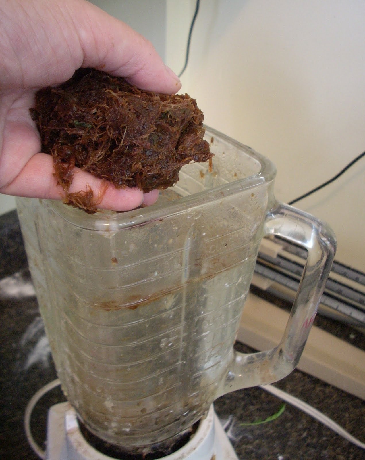 LizAnna's Studio Make Your Own Paper from Plants