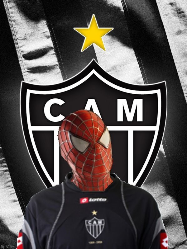 [SPIDER.jpg]