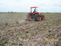 Ploughing the ground before planting