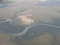 Aerial view of Amazonia Reforestation planting area 2009