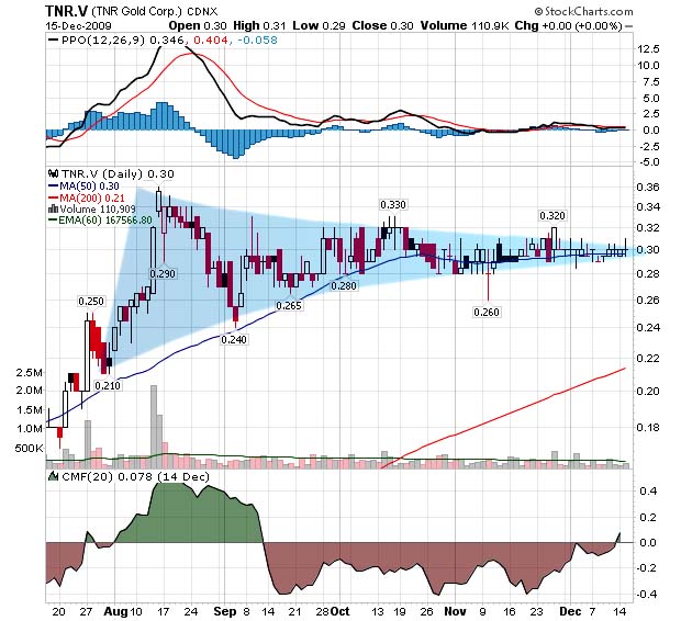 [TNR+Gold+15.12.2009.jpg]