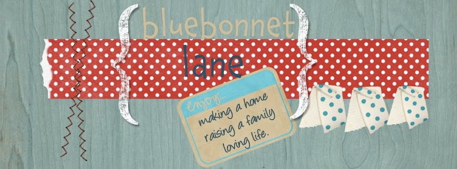 Bluebonnet Lane