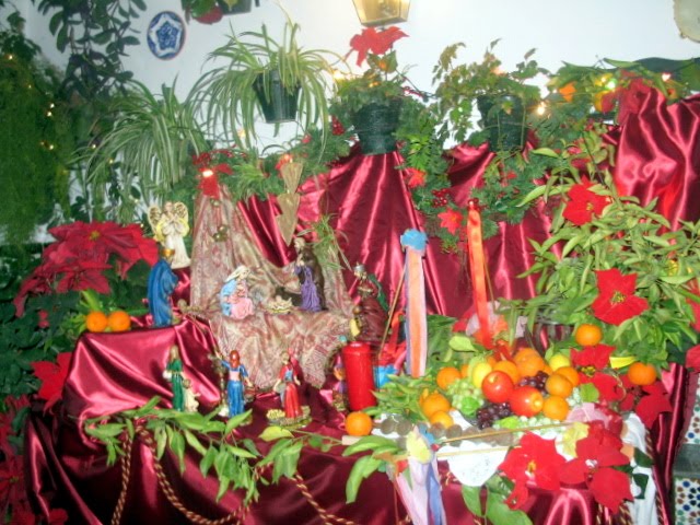 [IMG_0498.JPG]
