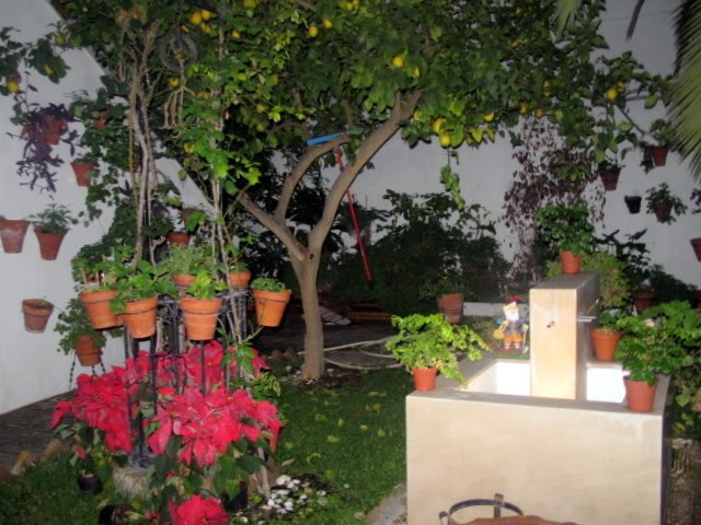 [IMG_0502.JPG]