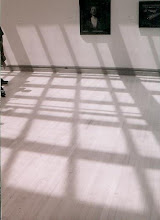 MoMA Skylight