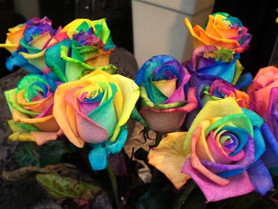[Rainbow-roses2.jpg]