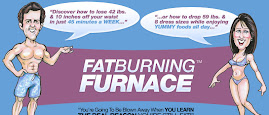Fat burning furnace