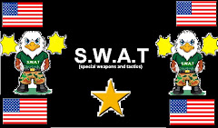 Our Flag