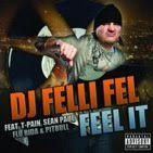 DJ Felli Fel "Feel it" feat. T-Pain, Sean Paul, Pitbull, Flo Rida (click on picture to download)