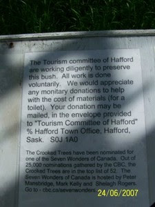 Crooked Trees of Hafford