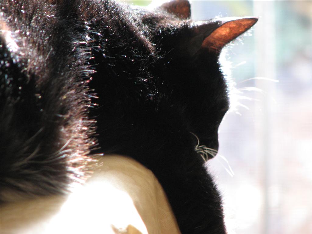 [EBAY+3098+(Large).jpg]