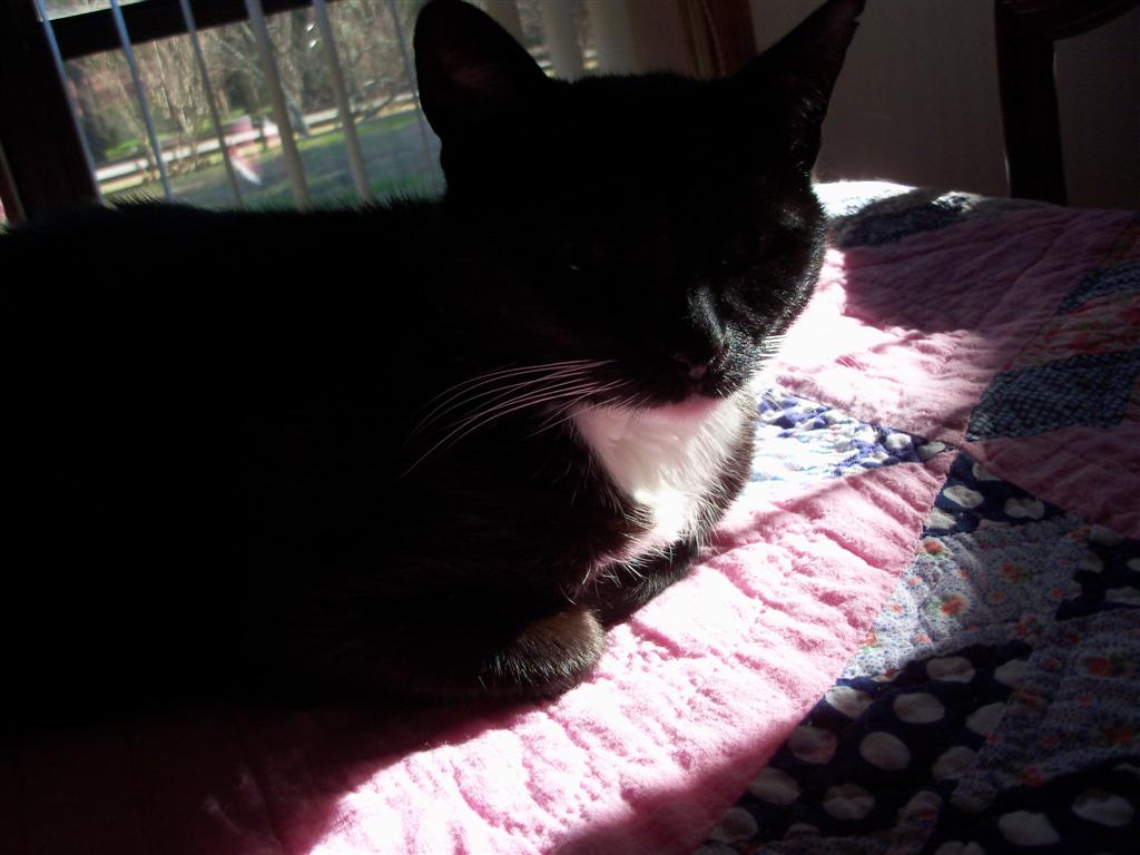 [EBAY+3918+(Large).jpg]