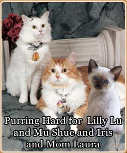 [mushuelillyluiris.jpg]