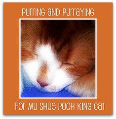 [PurringForMuShue.jpg]