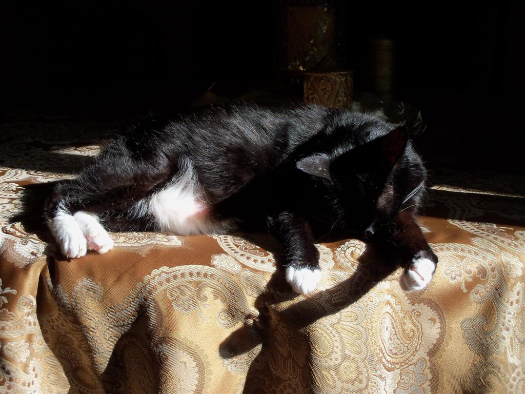 [EBAY+2433+(Large).jpg]