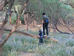 MEOW MOMENTS - Sukhna Nature Trail 2 (05th Apr'09)