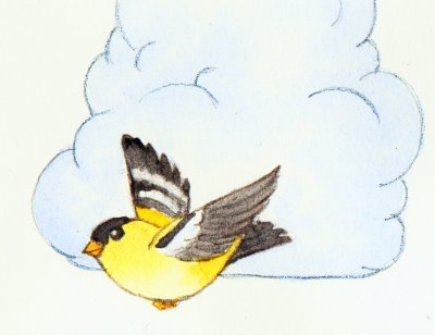 [Bird+01.jpg]