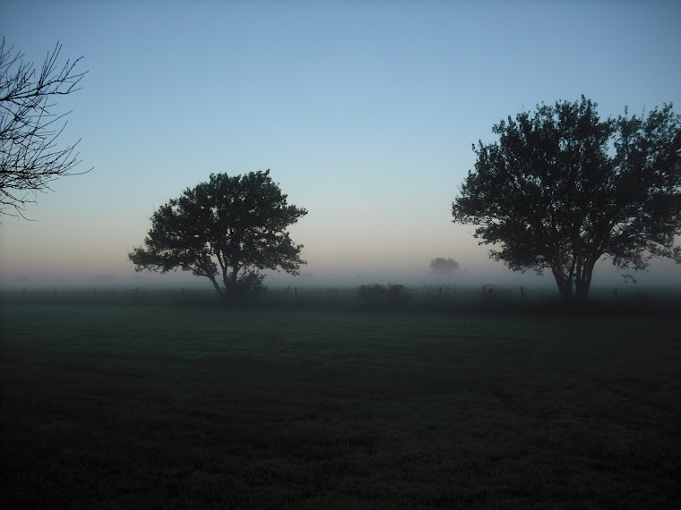 Fog on the Flinthills prairie