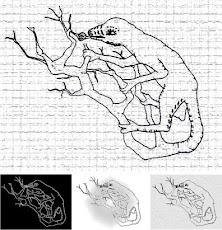 OUROBOROS, A Árvore do Conhecimento