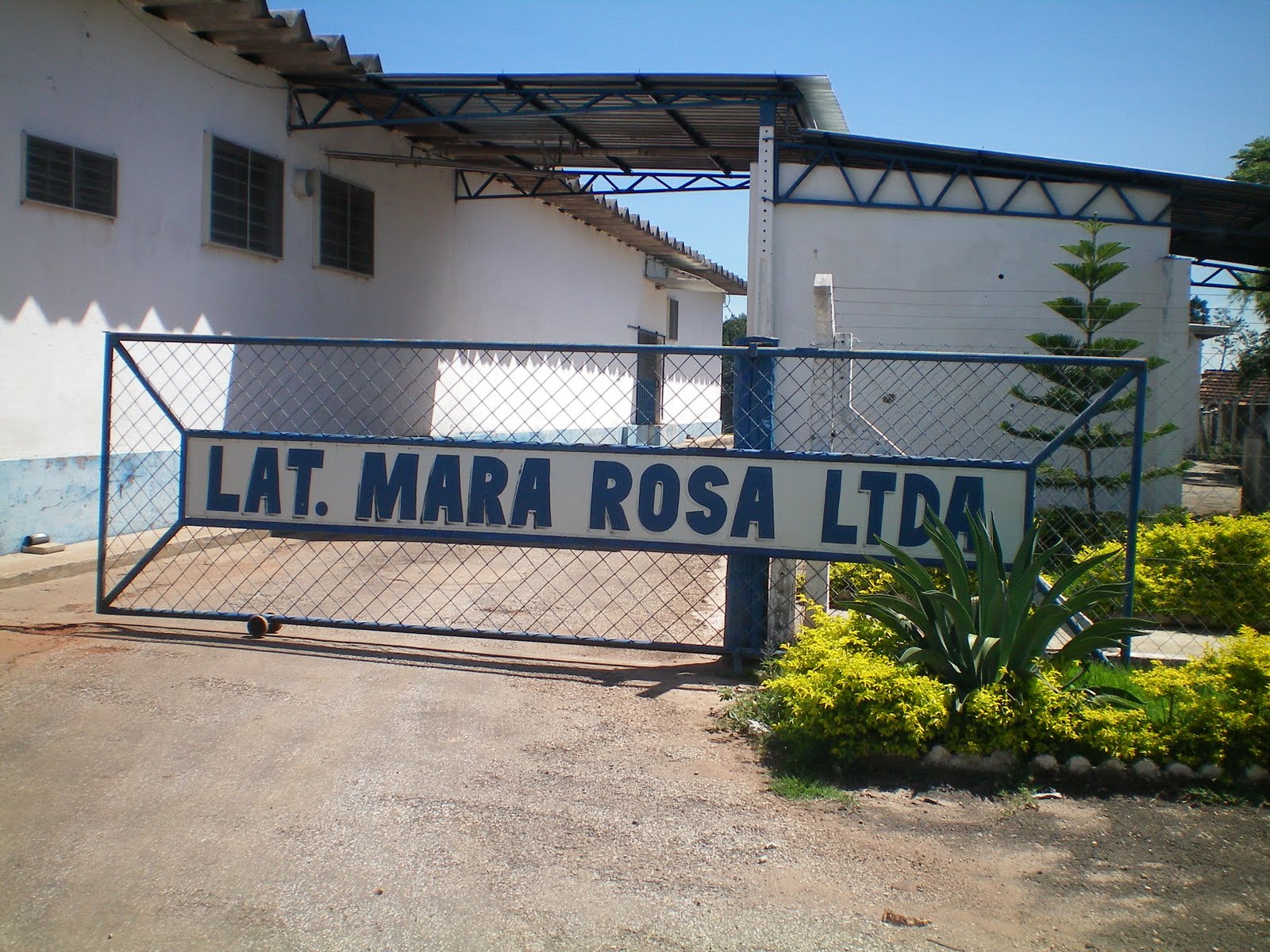 Mara Rsa SECRETÁRIA DA AGRICULTURA DE MARA ROSA-GOIAS: Ltc Maralac