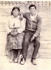 DAMIANA Y GUILLERMO