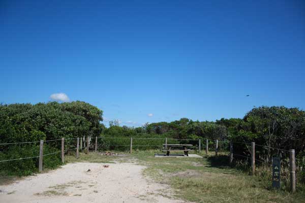 Candice Herne: Bundjalung National Park, Beach, Pebbles, Pippi Shells