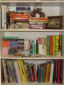 [bookshelves.blog.jpg]