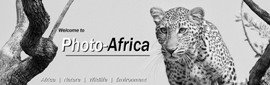 Photo-Africa Home Page