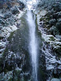 Dog Stream Waterfall