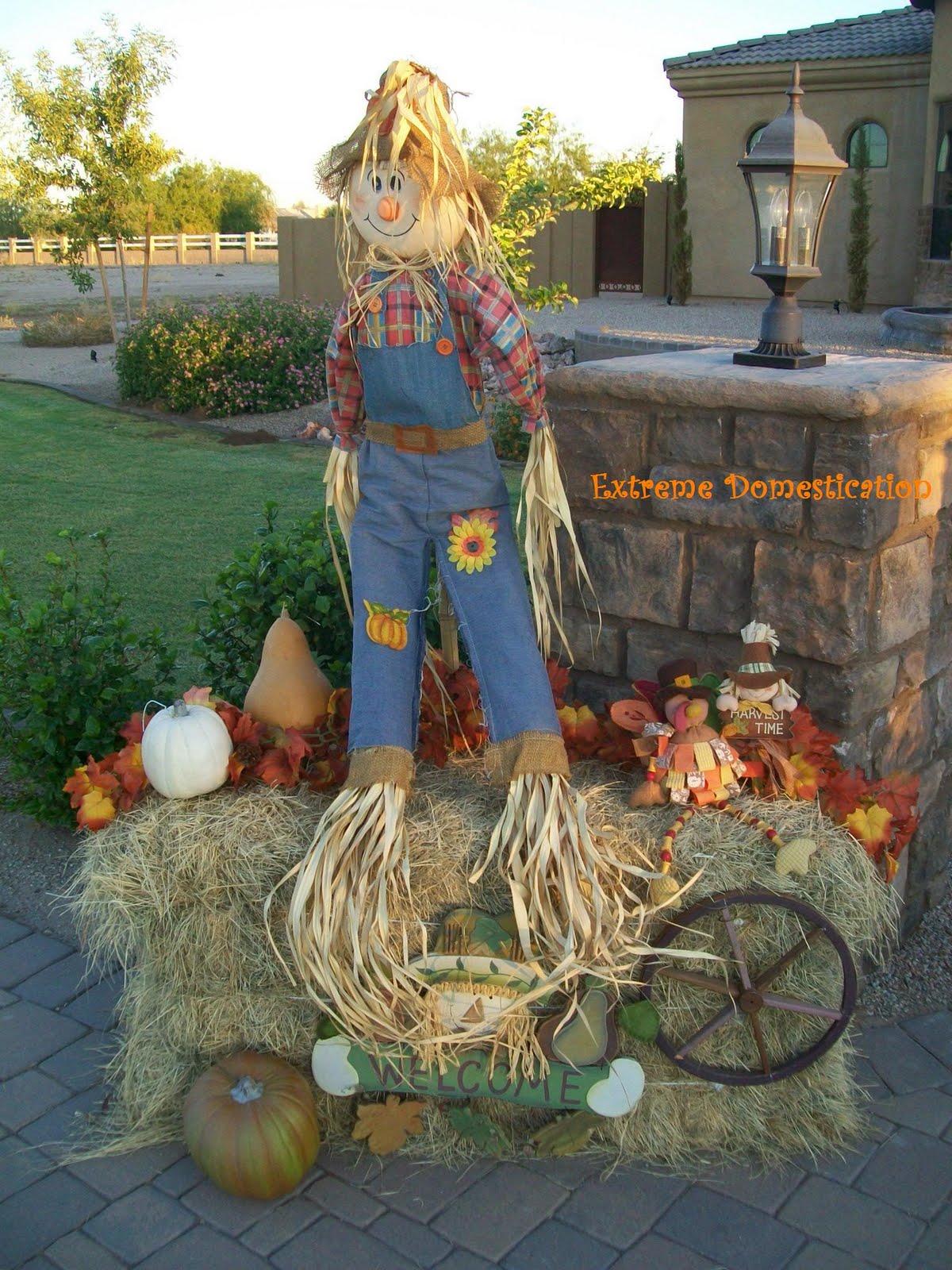 Extreme Domestication: Harvest Outdoor Display