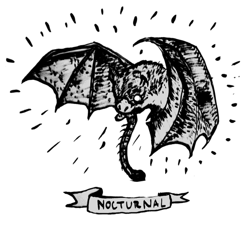 [nocturnal_test.png]