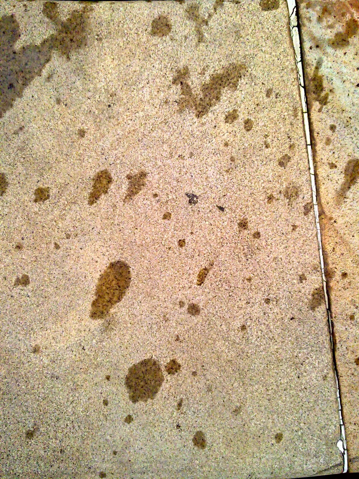 Texture Frenzy