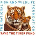 Tiger fund