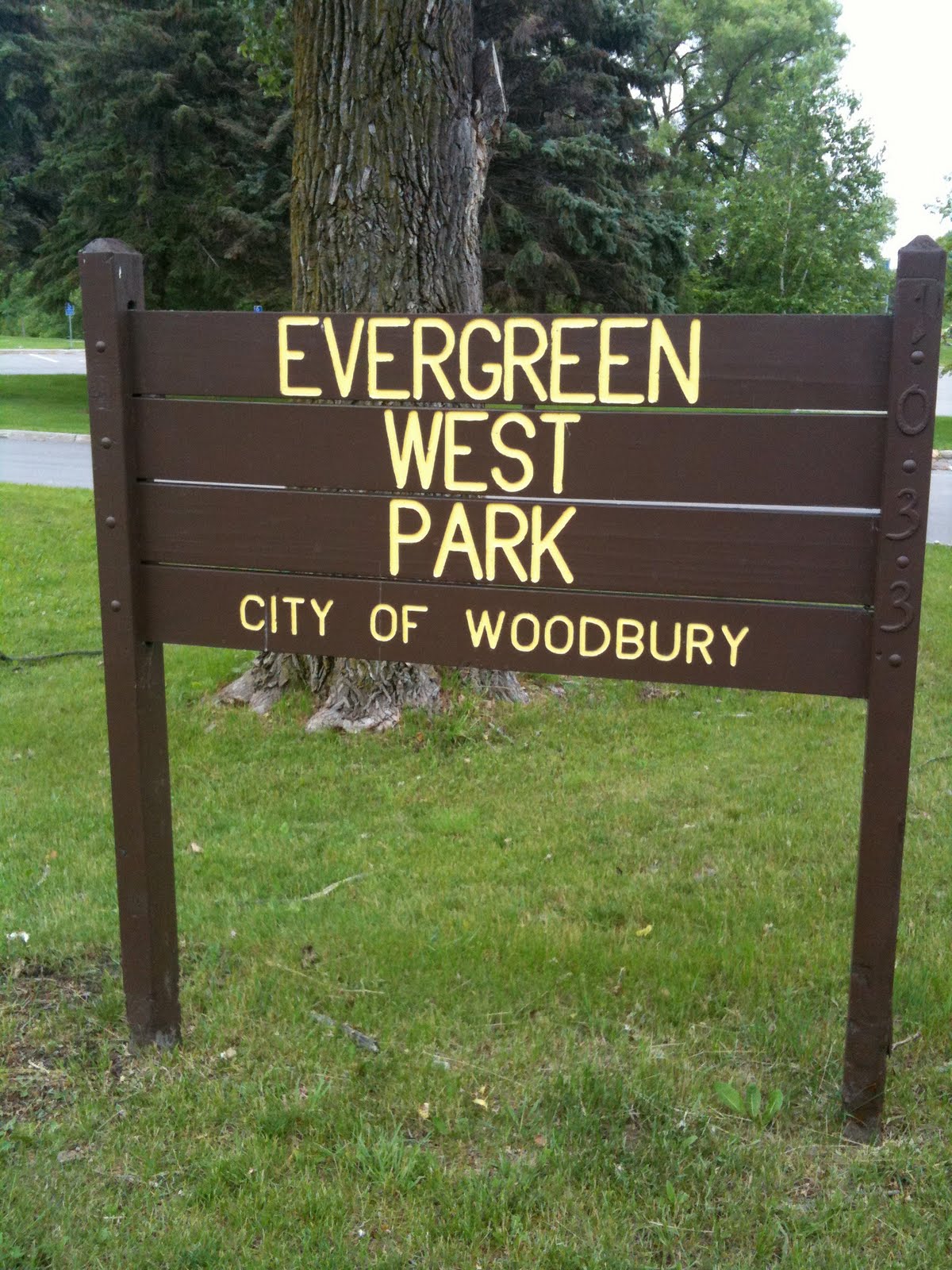 Woodbury Parks Evergreen West