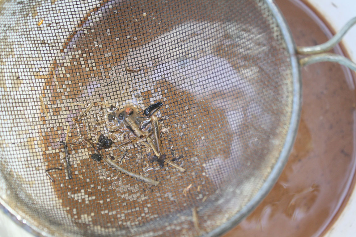 oklahoma tinctoria Washing Oklahoma Red Dirt