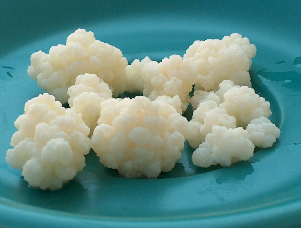 Kefir Isıtılır mı Kefir Isıtılır mı