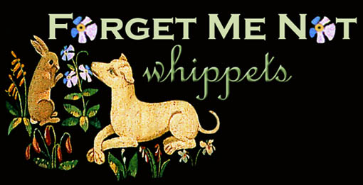 Forgetmenot Whippets Blog